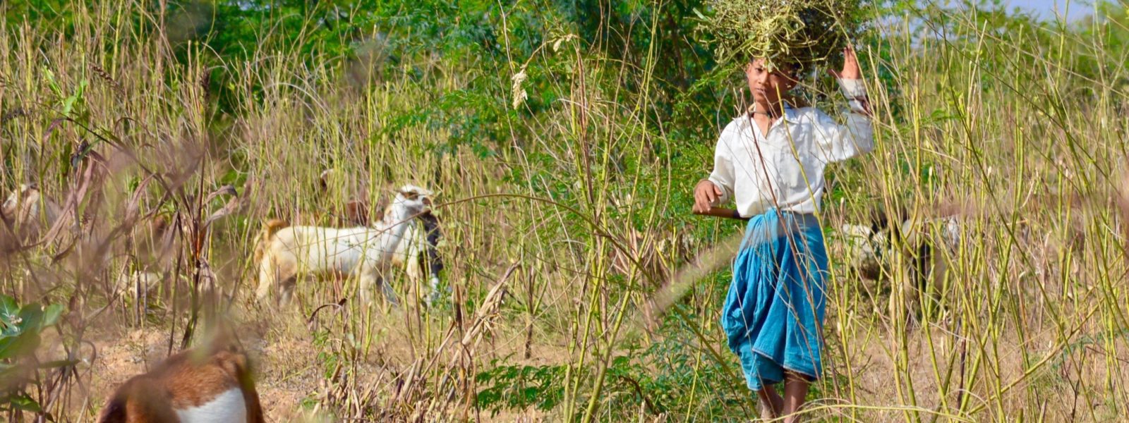 Chin State - Boy in Chin State - Myanmar - Sampan Travel