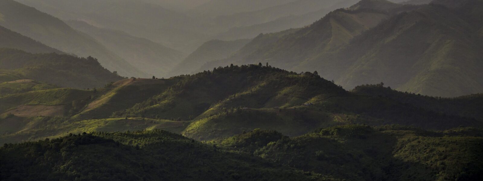 Dark green rolling hills