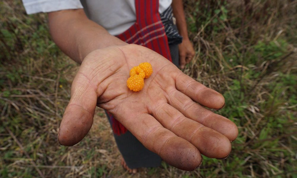 Pindaya - Lahpet Thoke, Burmese Tea Leaf Salad - Pindaya - Sampan Travel