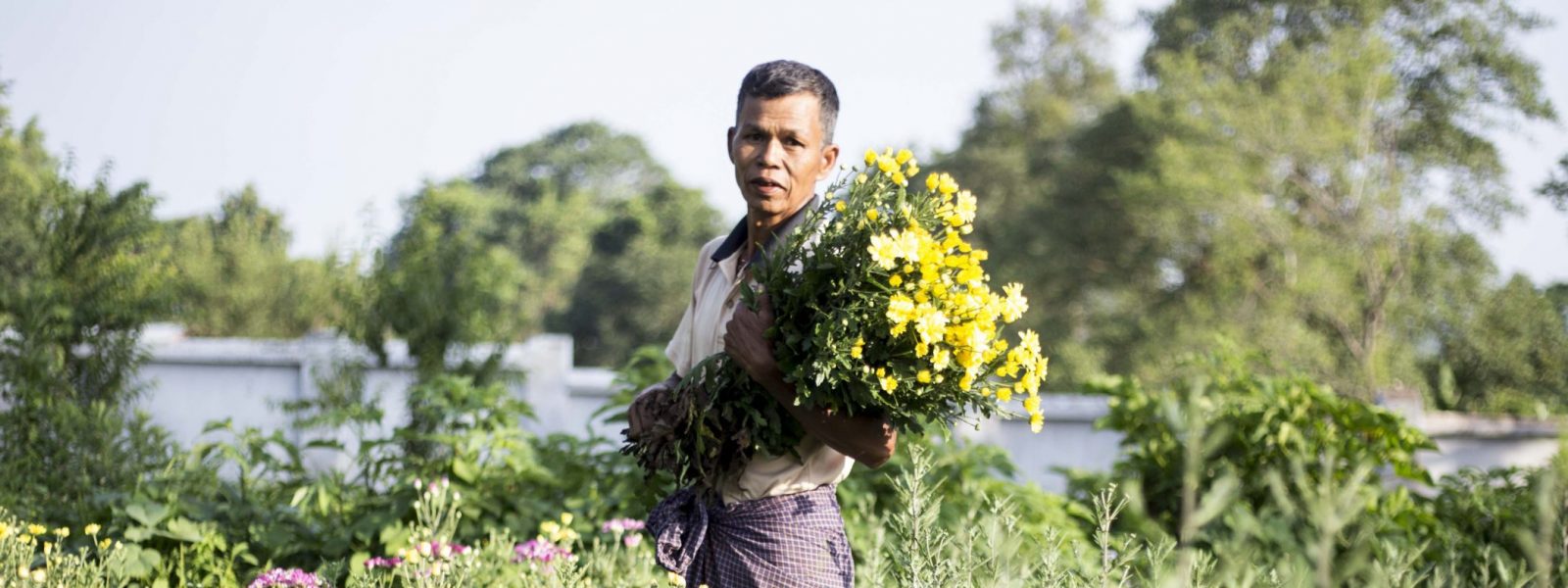 Pyin Oo Lwin - fields of flowers - Myanmar - Sampan Travel