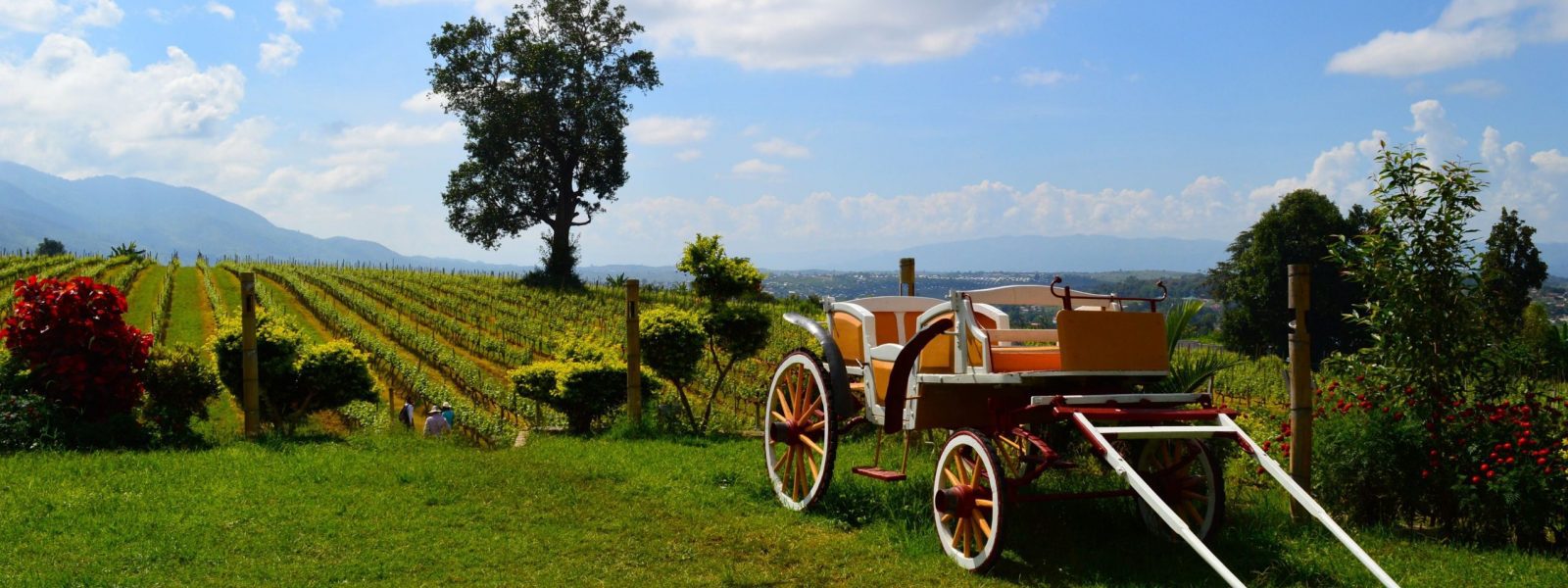 Taunggyi - Aythaya Vineyard - Shan State - Sampan Travel