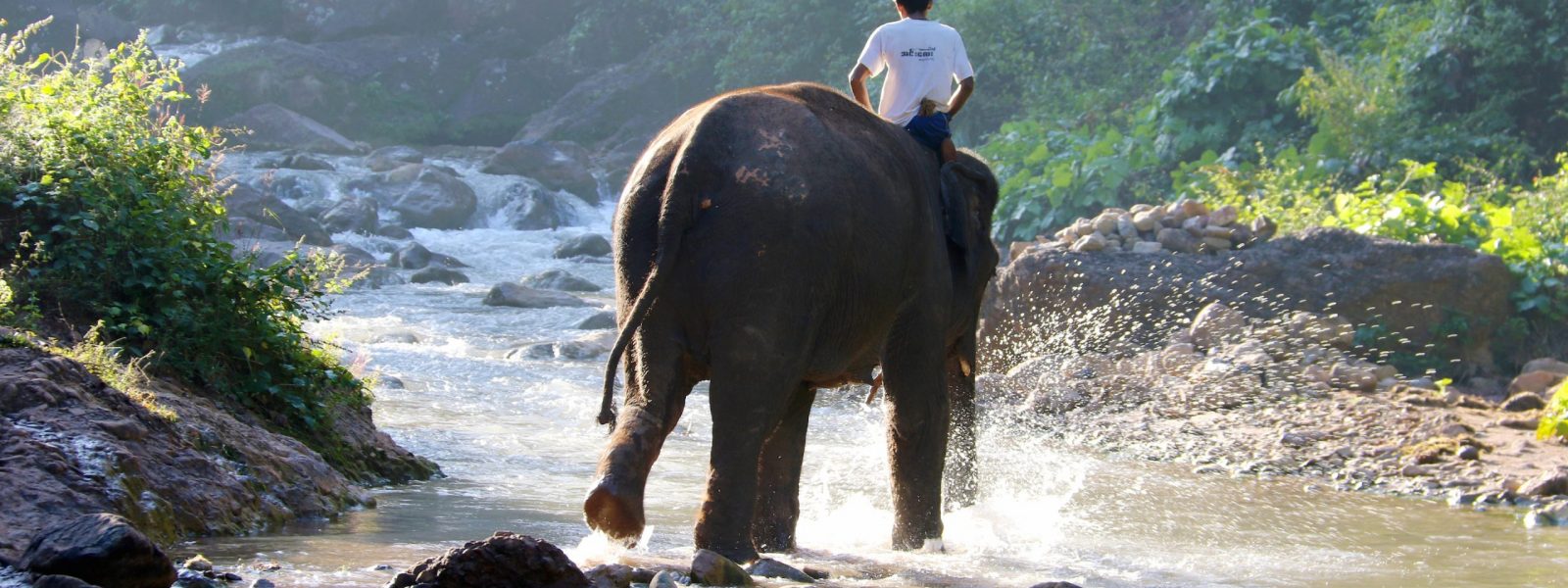 Elephants & Oozies - Green Hill Valley - Kalaw - Sampan Travel