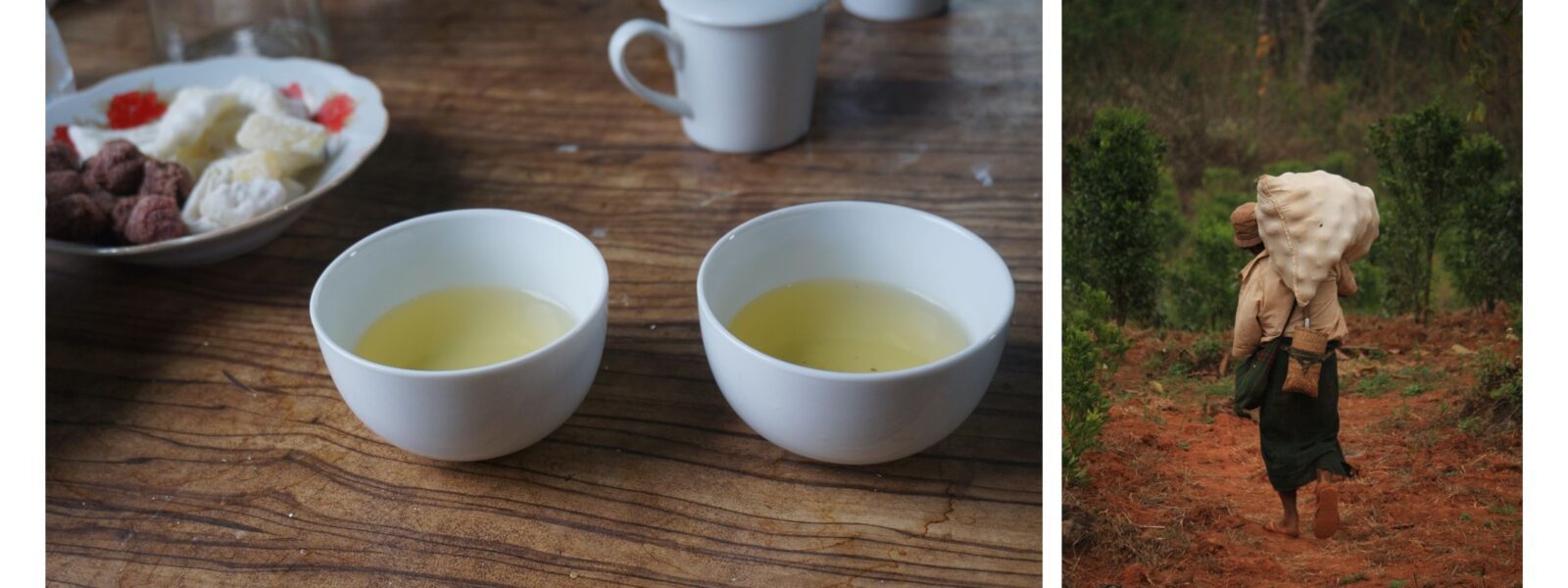 Tea Tasting & Tea Farmer in Pindaya