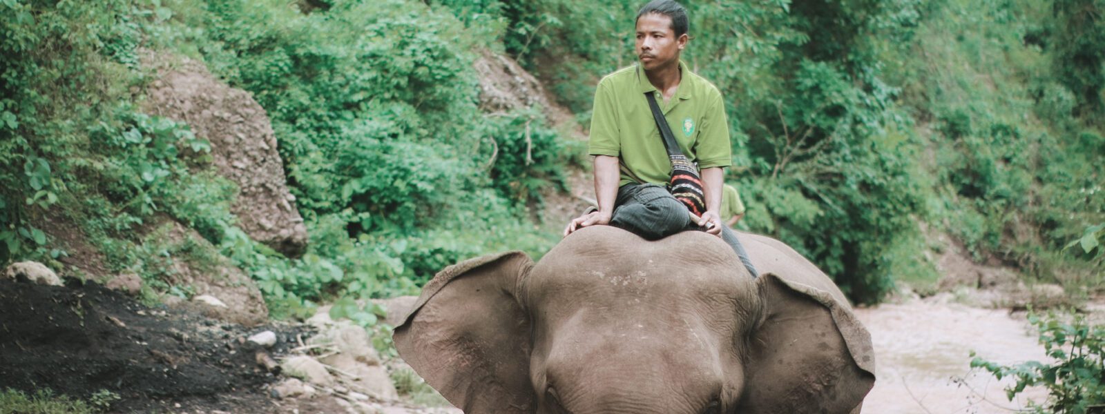 Mahout riding elepehant at Green Hill Valley